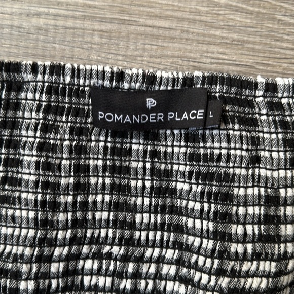 NEW Tuckernuck Pomander Place Beachwood Gingham Abigail
Mini Dress Large - Picture 8 of 12